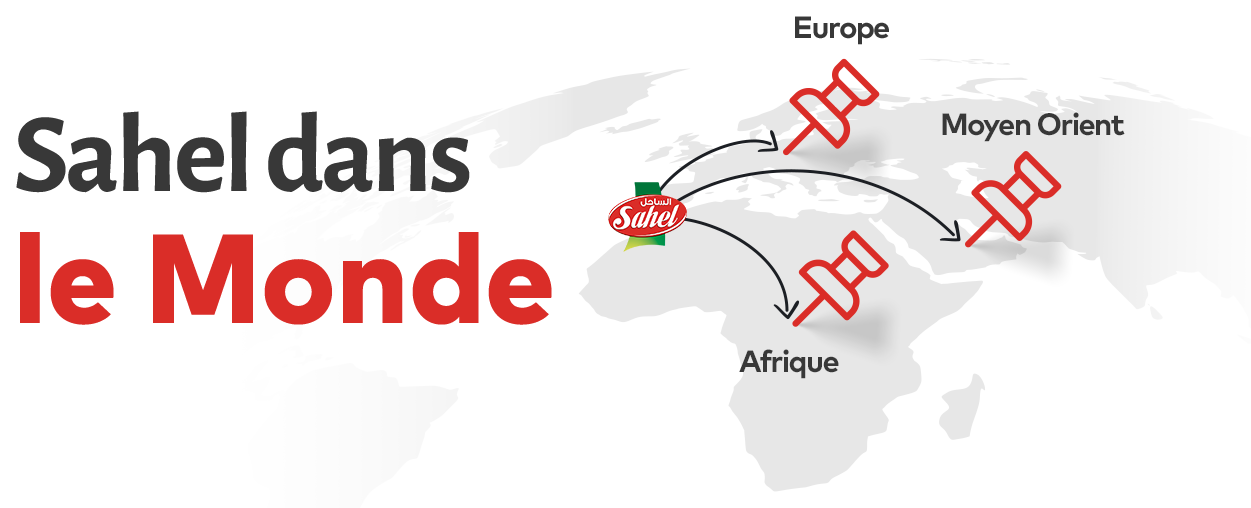 Map logistique et distribution